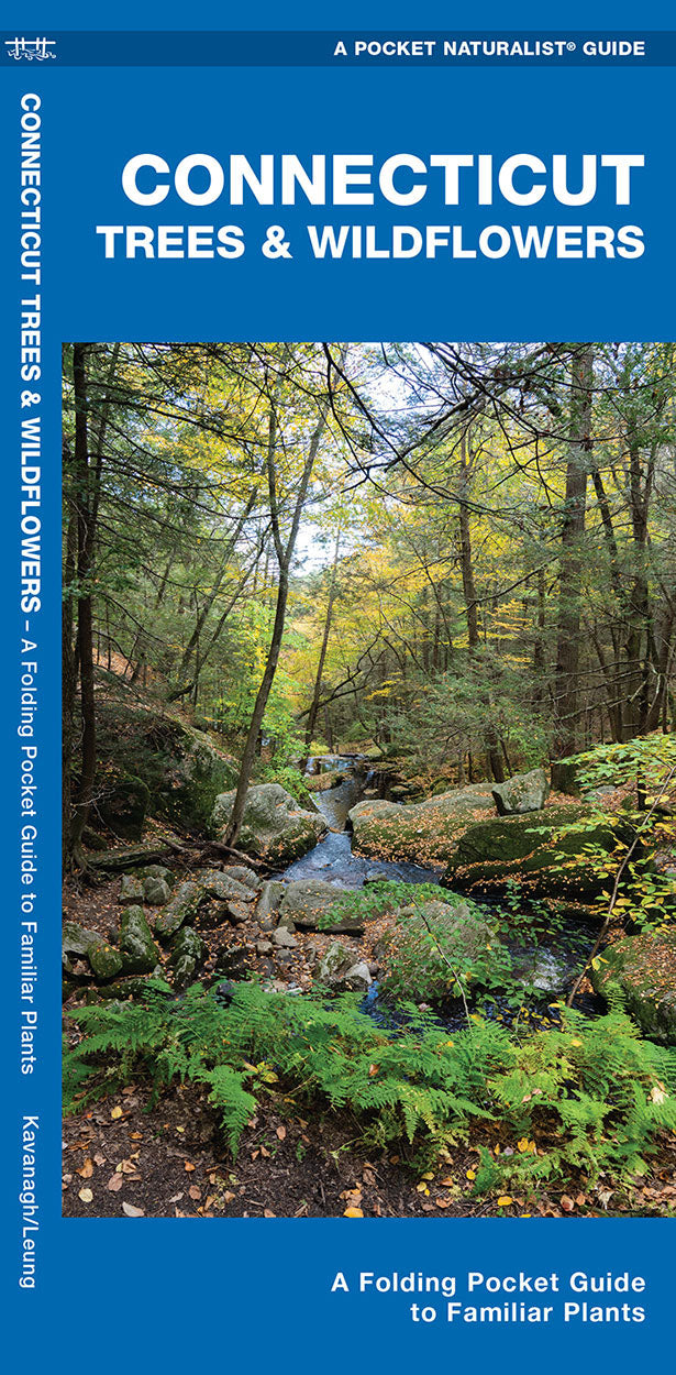Connecticut Trees & Wildflowers Pocket Guide - Birds Choice