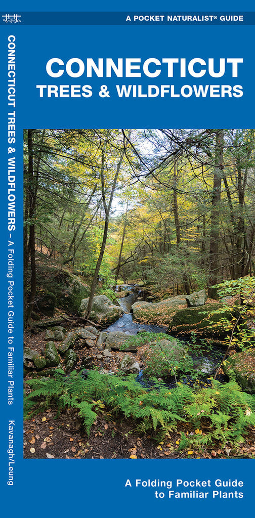 connecticut wildflower seeds Birds Choice Connecticut Trees & Wildflowers Pocket Guide