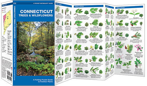 Connecticut Trees &amp; Wildflowers Pocket Guide - Birds Choice