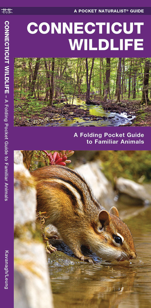 Connecticut Wildlife Pocket Guide – Birds Choice