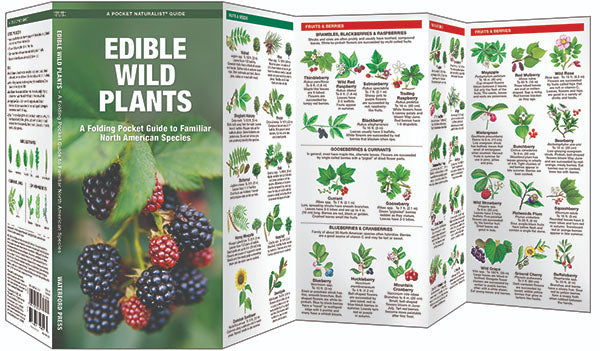Edible Wild Plants Pocket Guide