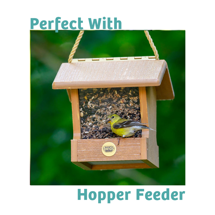 Finch Feast Wild Bird Food - 5 lbs. - Birds Choice