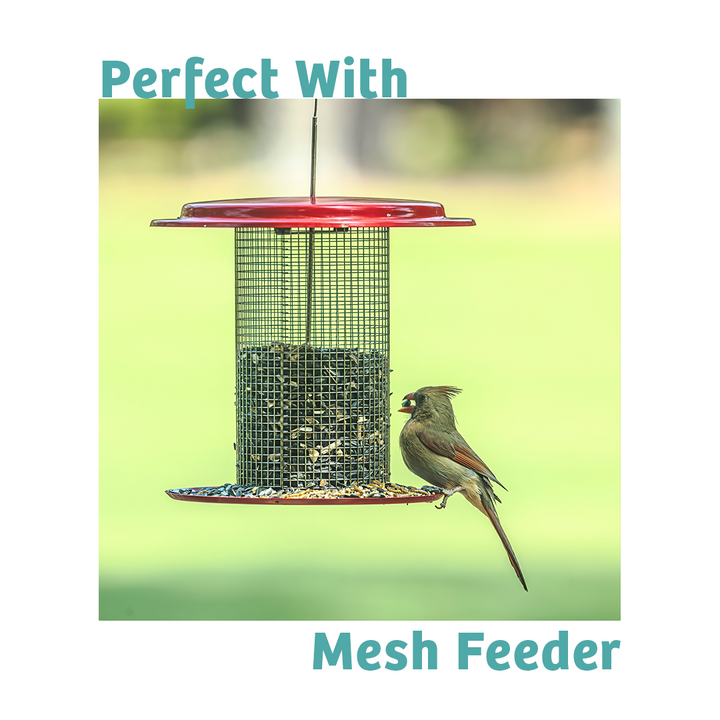 Finch Feast Wild Bird Food - 10 lbs. - Birds Choice
