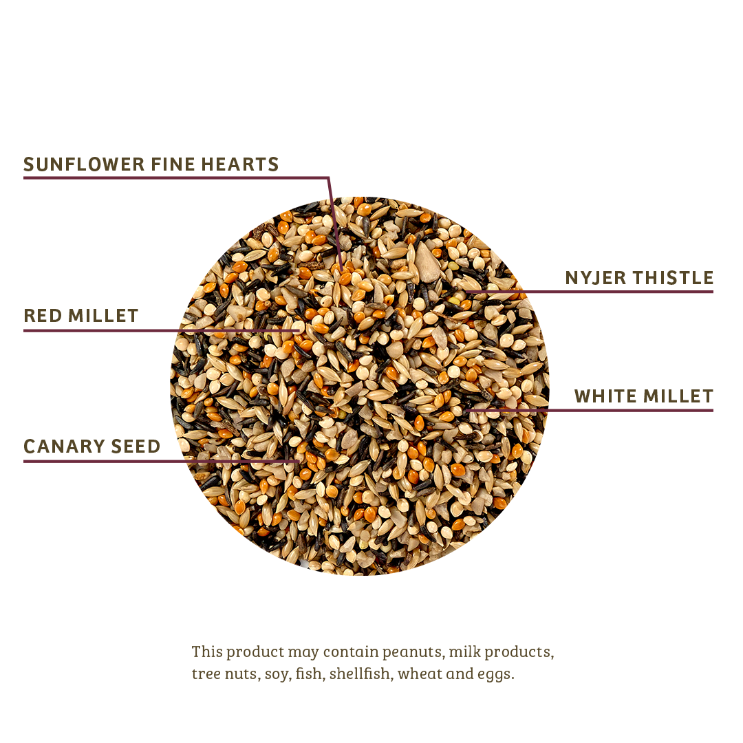 Finch Feast Wild Bird Food - 5 lbs. - Birds Choice