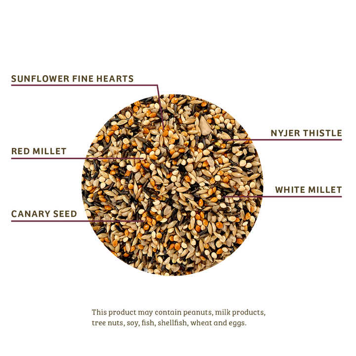 Finch Feast Wild Bird Food - 5 lbs. - Birds Choice