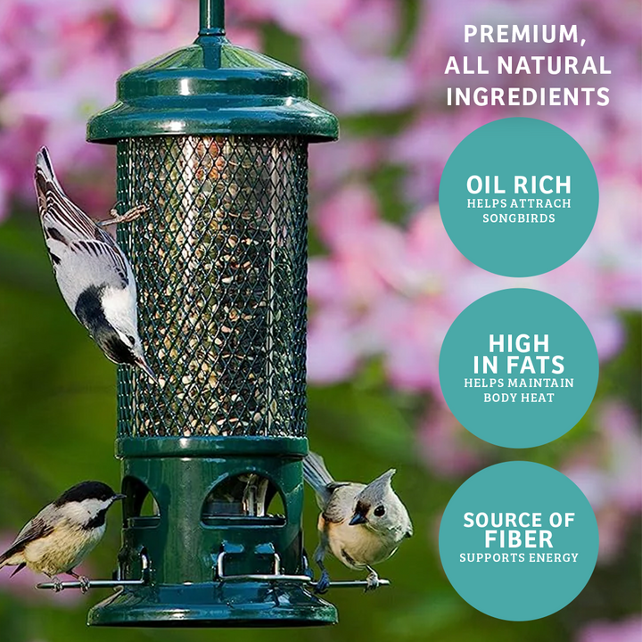 Finch Feast Wild Bird Food - 5 lbs. - Birds Choice