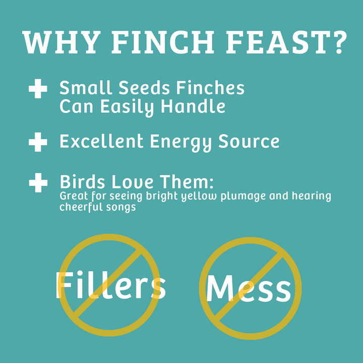 Finch Feast Wild Bird Food - 5 lbs. - Birds Choice