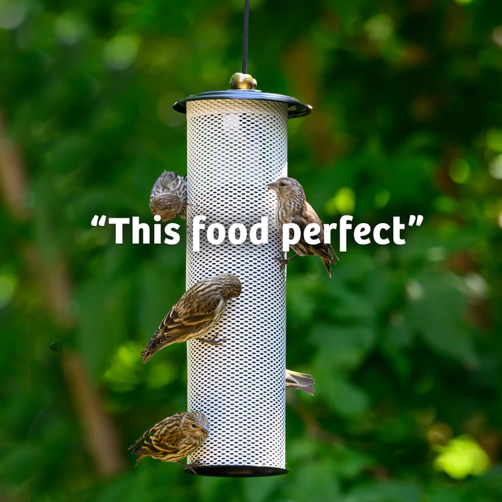 Finch Feast Wild Bird Food - 5 lbs. - Birds Choice