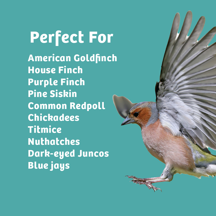Finch Feast Wild Bird Food - 5 lbs. - Birds Choice