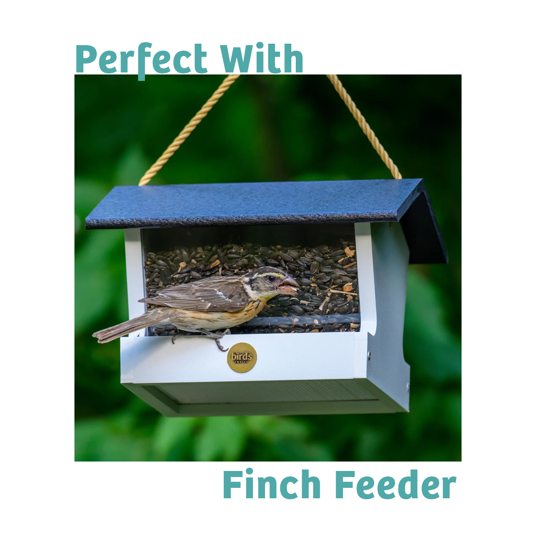 Finch Feast Wild Bird Food - 5 lbs. - Birds Choice