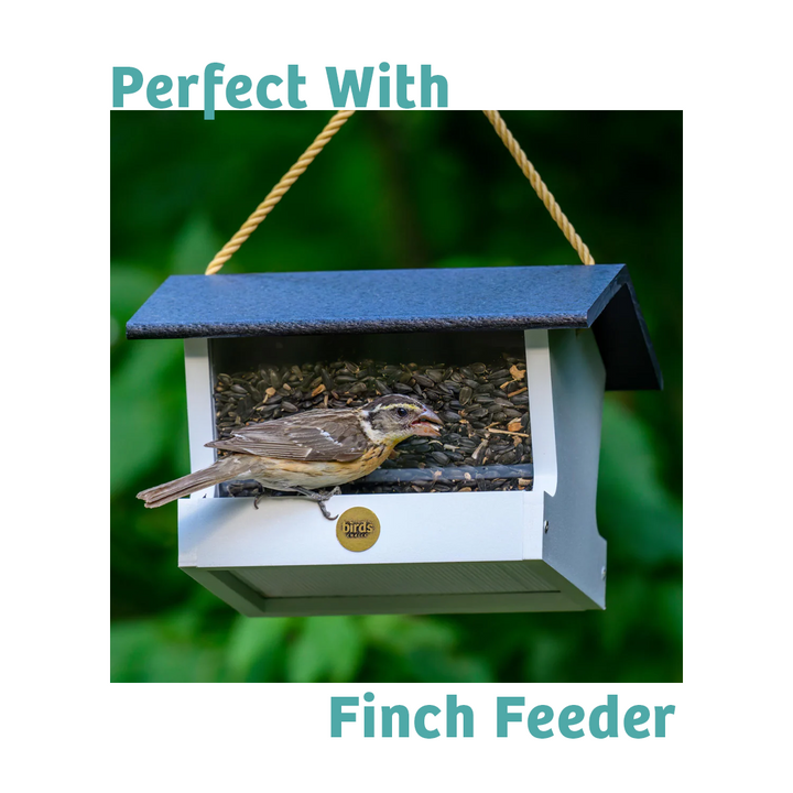Finch Feast Wild Bird Food - 5 lbs. - Birds Choice