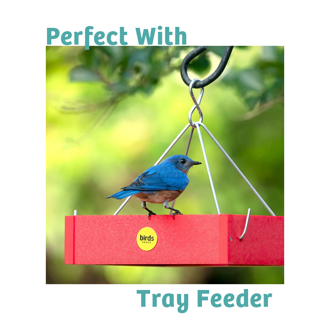 Finch Feast Wild Bird Food - 5 lbs. - Birds Choice