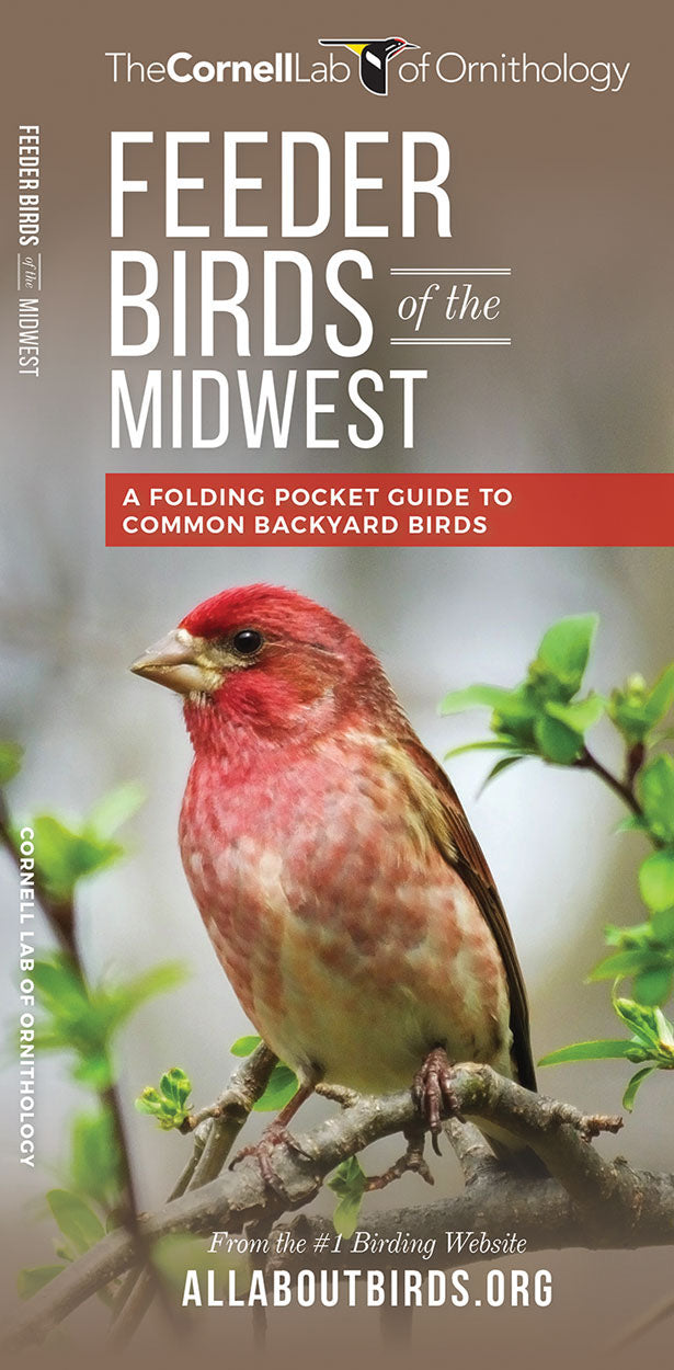 Feeder Birds Of The Midwest Pocket Guide