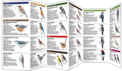 Feeder Birds Of The Midwest Pocket Guide