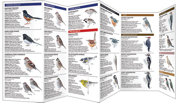 Feeder Birds Of The Northeast Pocket Guide - Birds Choice