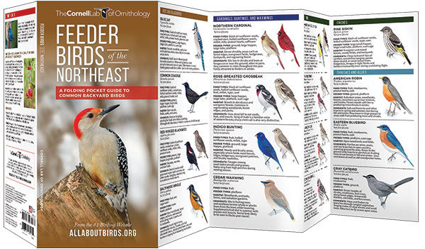 Feeder Birds Of The Northeast Pocket Guide