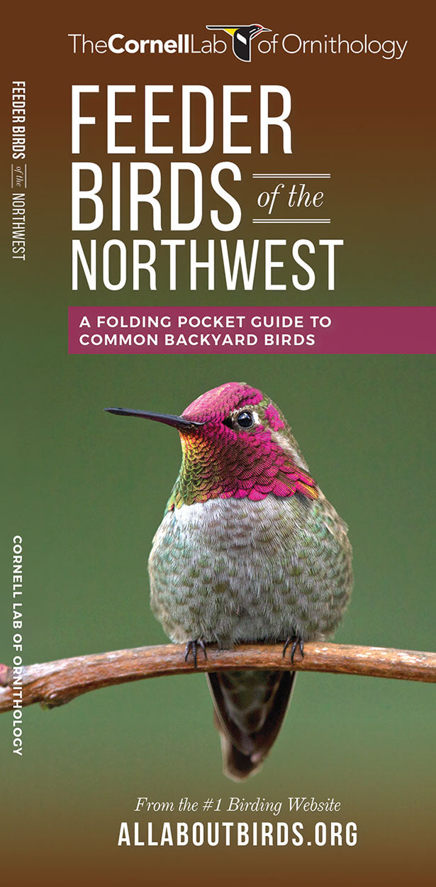 Feeder Birds Of The Northwest Pocket Guide - Birds Choice
