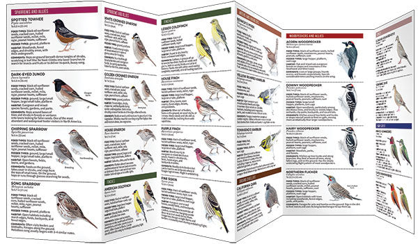 Feeder Birds Of The Northwest Pocket Guide - Birds Choice