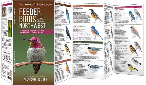 Feeder Birds Of The Northwest Pocket Guide - Birds Choice