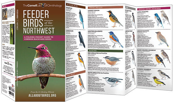 Feeder Birds Of The Northwest Pocket Guide