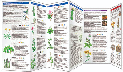 Foraging For Wild Edible Foods Pocket Guide