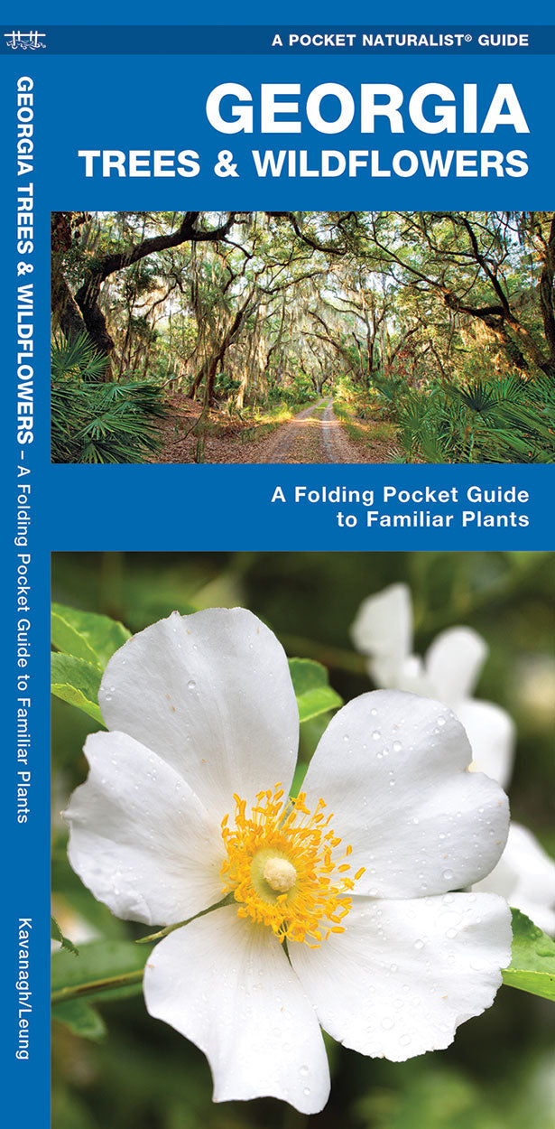 Georgia TREES & WILDFLOWERS - Birds Choice