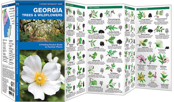Georgia TREES &amp; WILDFLOWERS - Birds Choice