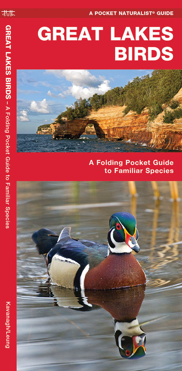 Great Lakes Birds Pocket Guide - Birds Choice