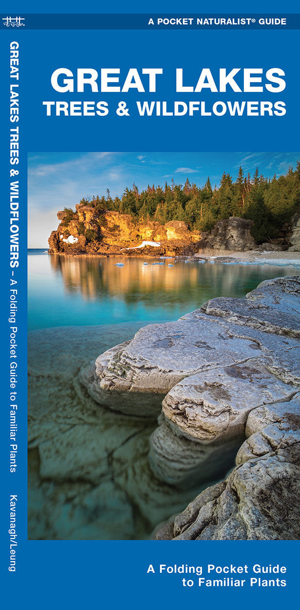 Great Lakes Trees &amp; Wildflowers Pocket Guide - Birds Choice