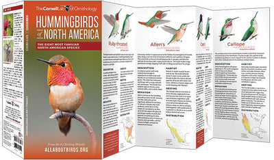 Hummingbirds Of North America Pocket Guide