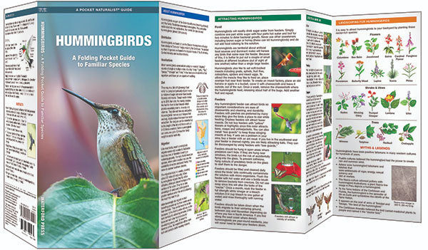 Hummingbirds Pocket Guide - Birds Choice
