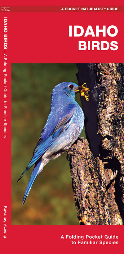Idaho Birds Pocket Guide