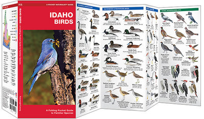 Idaho Birds Pocket Guide