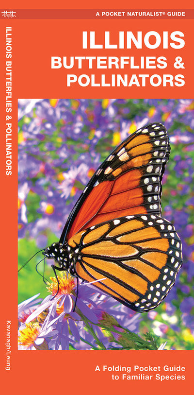 Illinois Butterflies & Pollinators