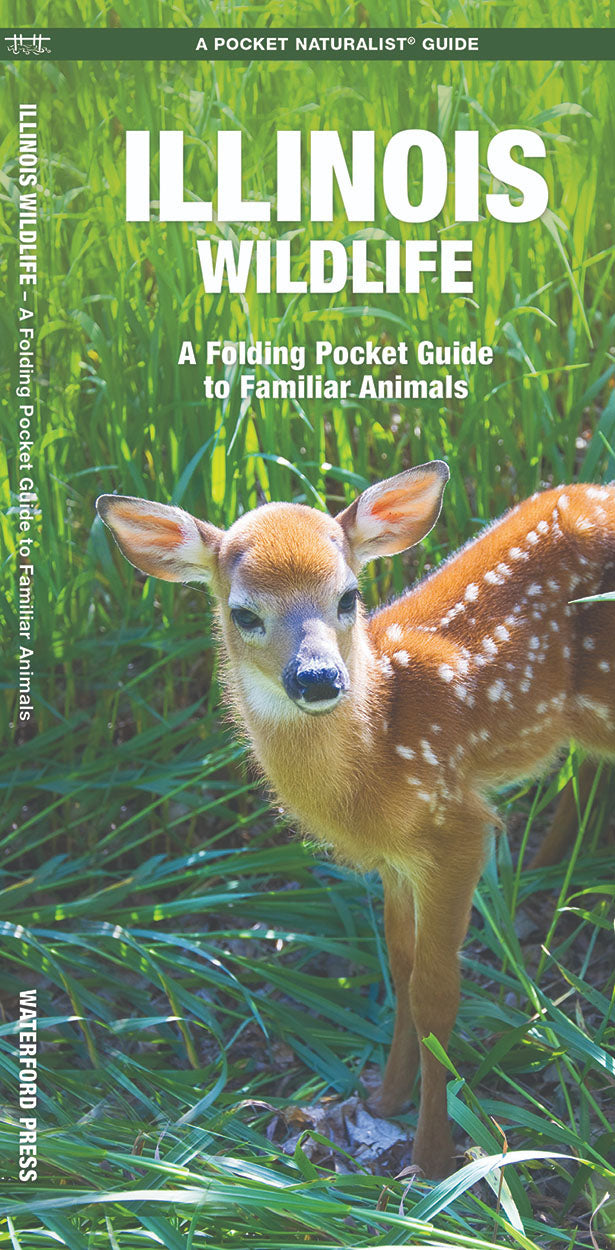 Illinois Wildlife Pocket Guide