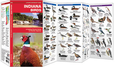 Indiana Birds Pocket Guide