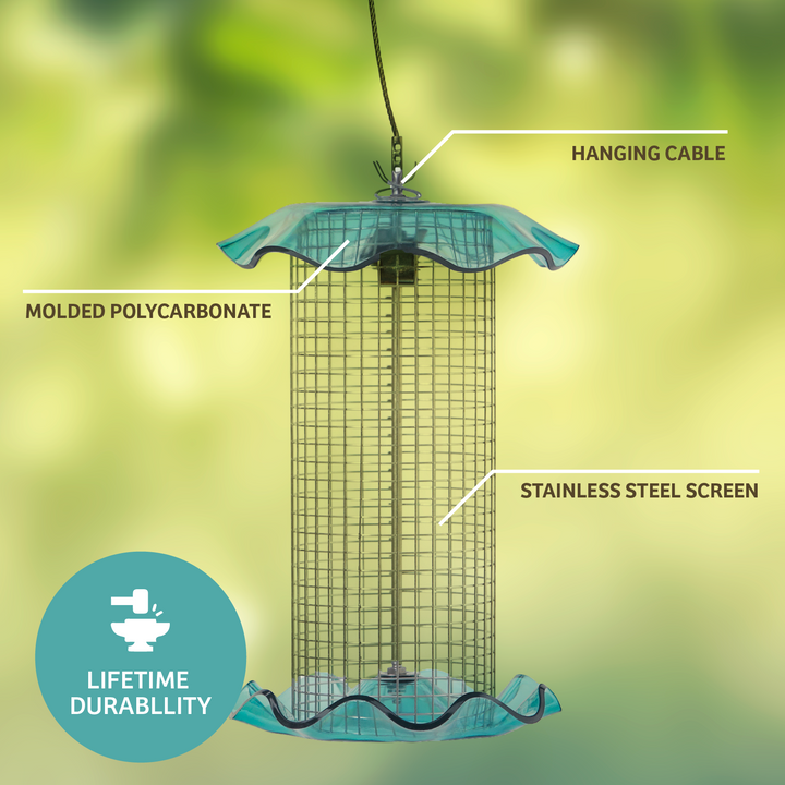 BLUE SONGBIRD FEEDER - Birds Choice