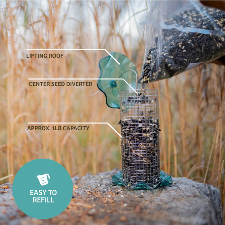 BLUE SONGBIRD FEEDER - Birds Choice