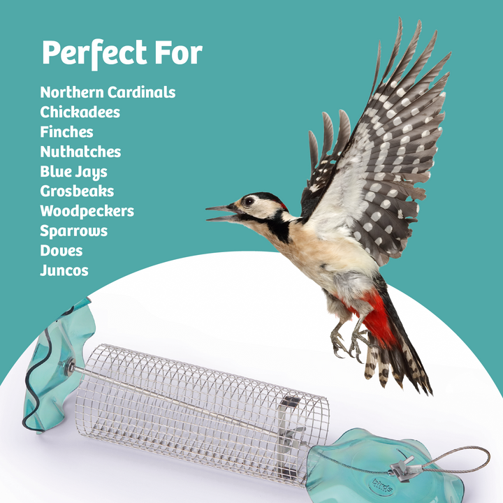 BLUE SONGBIRD FEEDER - Birds Choice