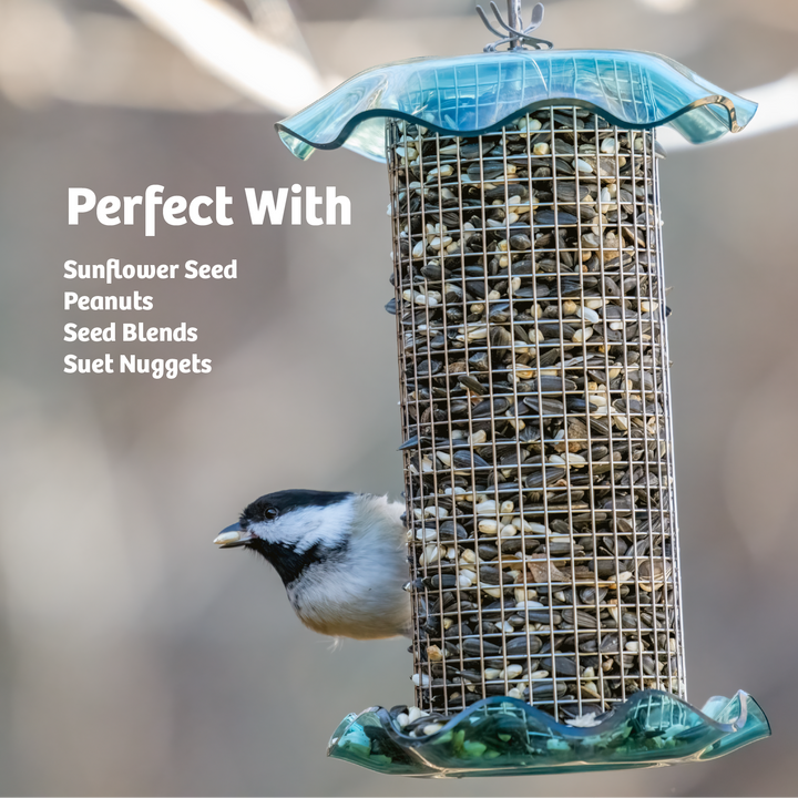 BLUE SONGBIRD FEEDER - Birds Choice