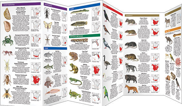 Invasive Animals & Plants Pocket Guide
