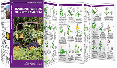 Invasive Weeds Of North America Pocket Guide
