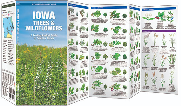 Indiana Trees & Wildflowers Pocket Guide