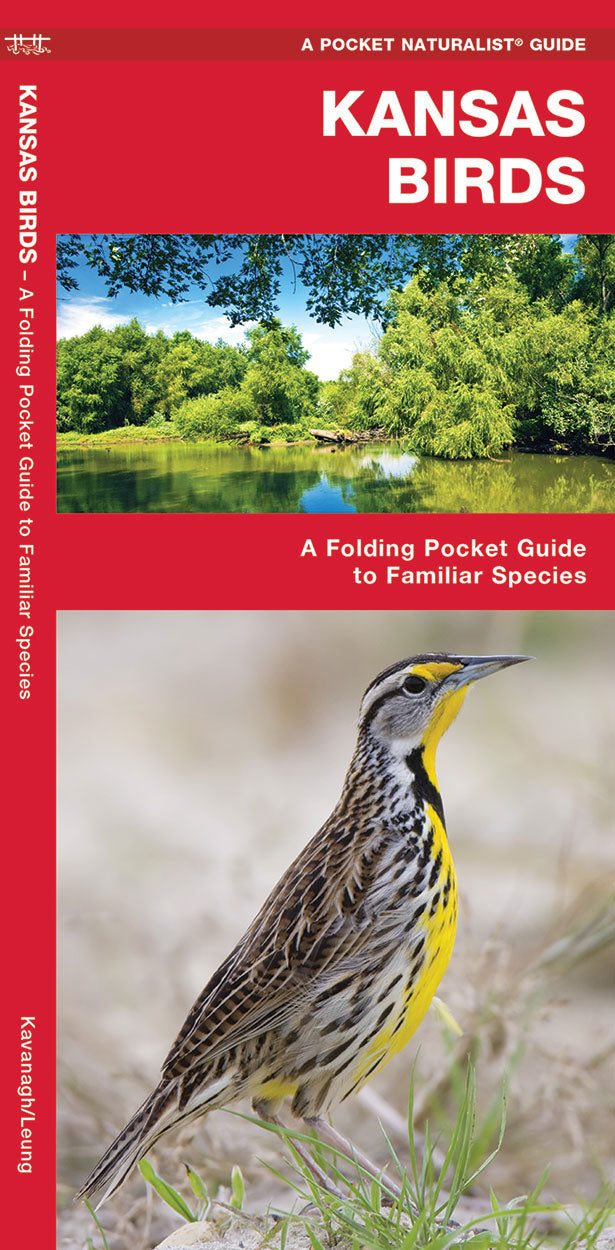 Kansas Birds Pocket Guide
