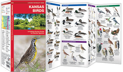 Kansas Birds Pocket Guide