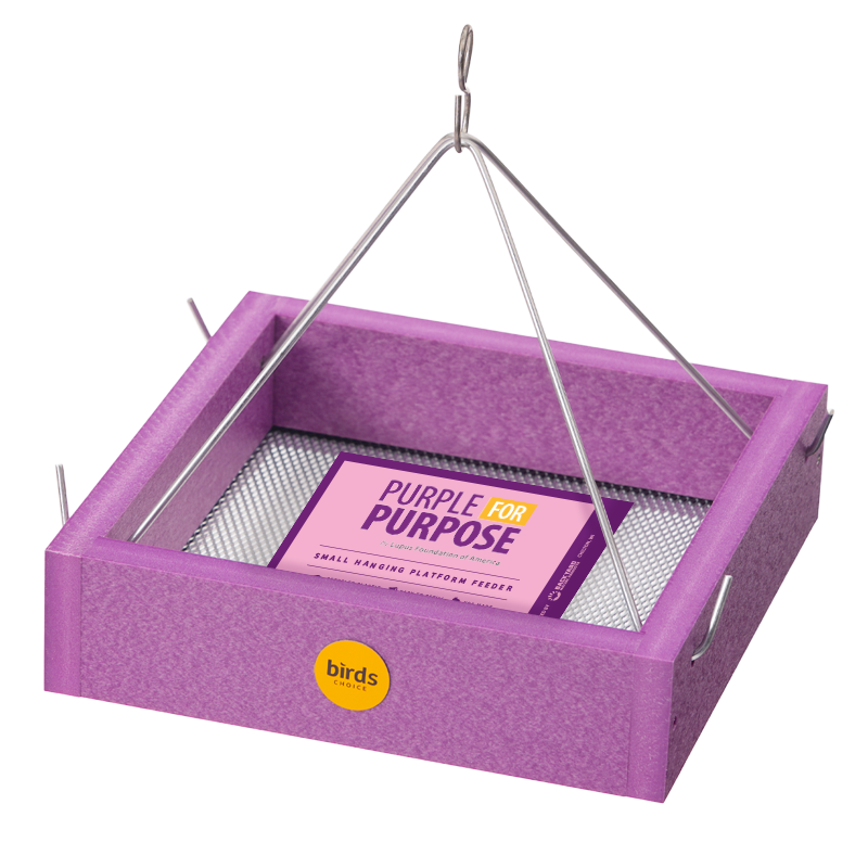 Lupus Foundation of America Small Hanging Tray Bird Feeder in Purple Recycled Plastic-Limited Edition - Birds Choice