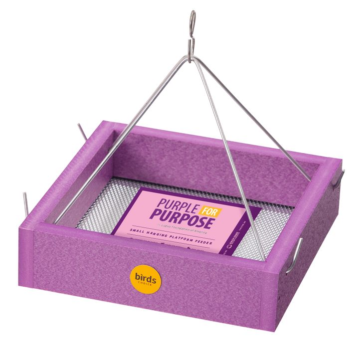 Lupus Foundation of America Small Hanging Tray Bird Feeder in Purple Recycled Plastic-Limited Edition - Birds Choice
