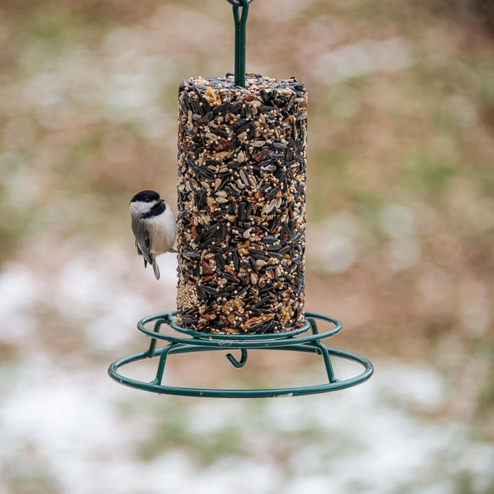 Mr. Bird EZ Cylinder Feeder - Birds Choice