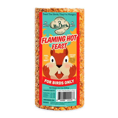 Flaming Hot Feast Cylinder – Small - Birds Choice