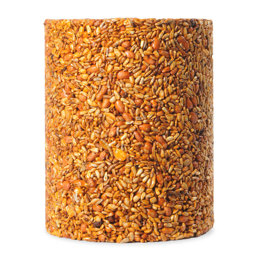 Mr. Bird Flaming Hot Feast Seed Cylinder – Large - Birds Choice